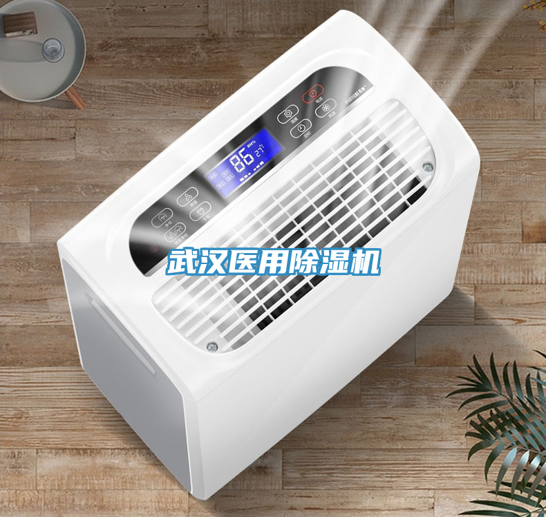 武漢醫用除濕機