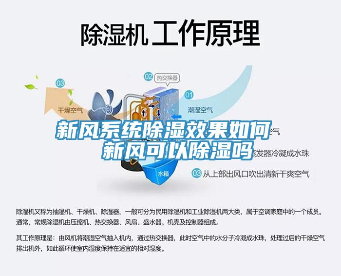 新風(fēng)系統(tǒng)除濕效果如何  新風(fēng)可以除濕嗎