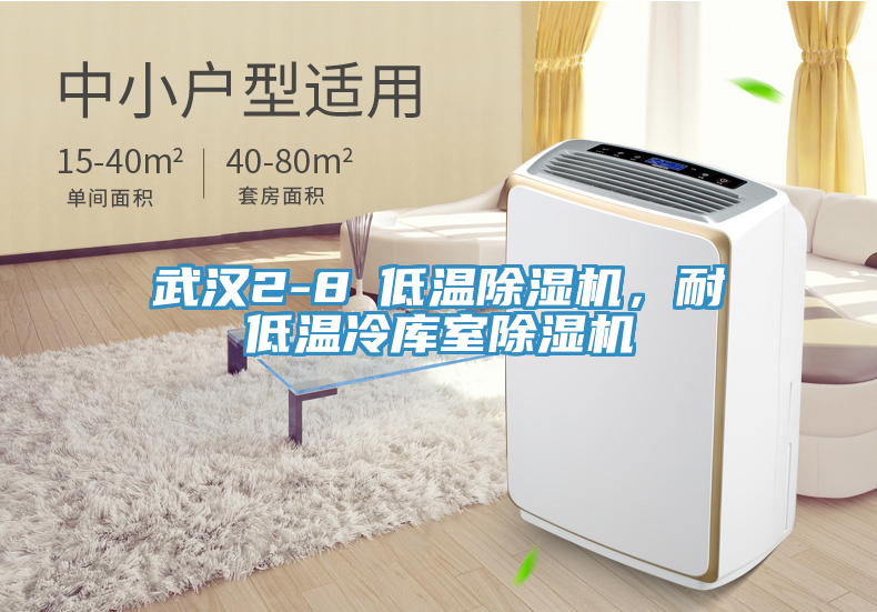武漢2-8℃低溫除濕機，耐低溫冷庫室除濕機