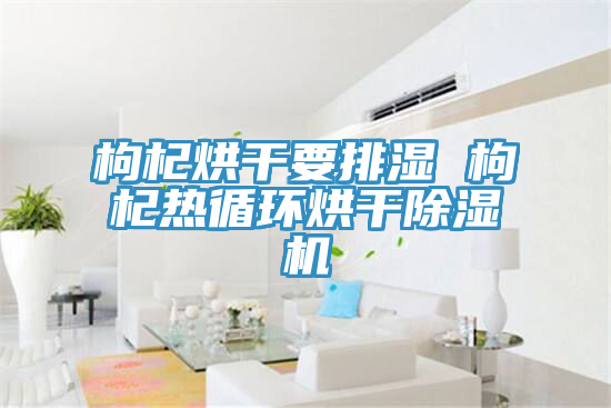 枸杞烘干要排濕 枸杞熱循環(huán)烘干除濕機