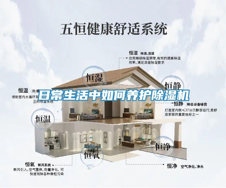 日常生活中如何養護除濕機