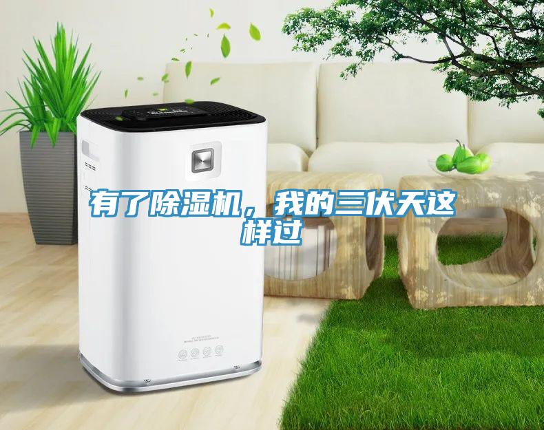 有了除濕機，我的三伏天這樣過