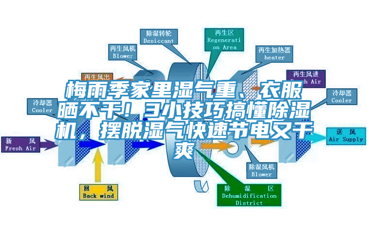 梅雨季家里濕氣重、衣服曬不干！3小技巧搞懂除濕機，擺脫濕氣快速節電又干爽