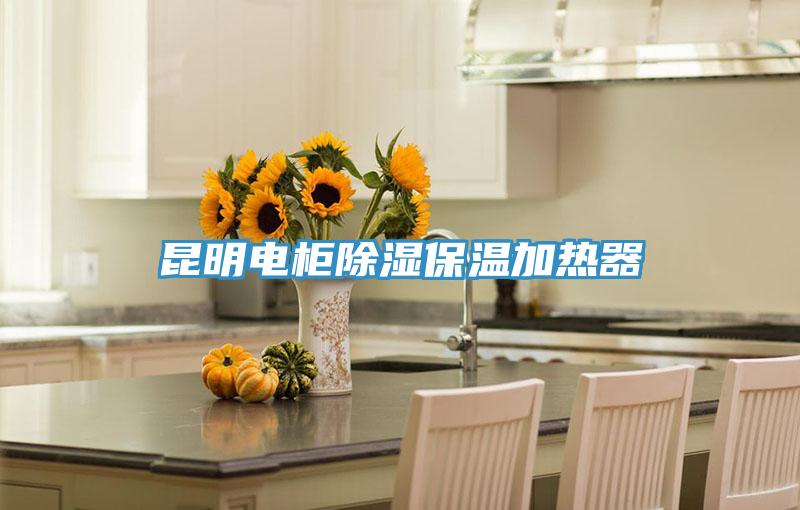 昆明電柜除濕保溫加熱器