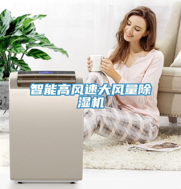 智能高風(fēng)速大風(fēng)量除濕機(jī)