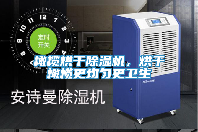 橄欖烘干除濕機，烘干橄欖更均勻更衛生