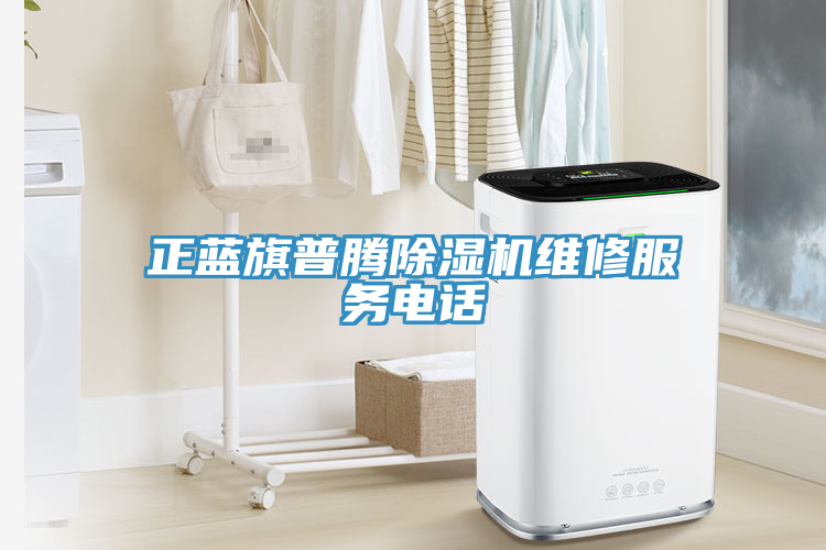 正藍旗普騰除濕機維修服務電話