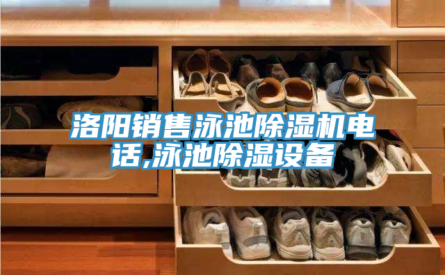 洛陽銷售泳池除濕機(jī)電話,泳池除濕設(shè)備