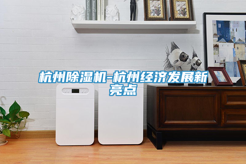 杭州除濕機-杭州經濟發展新亮點