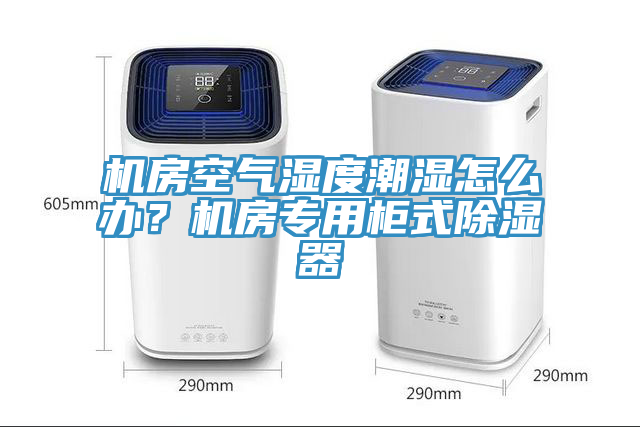 機(jī)房空氣濕度潮濕怎么辦？機(jī)房專用柜式除濕器