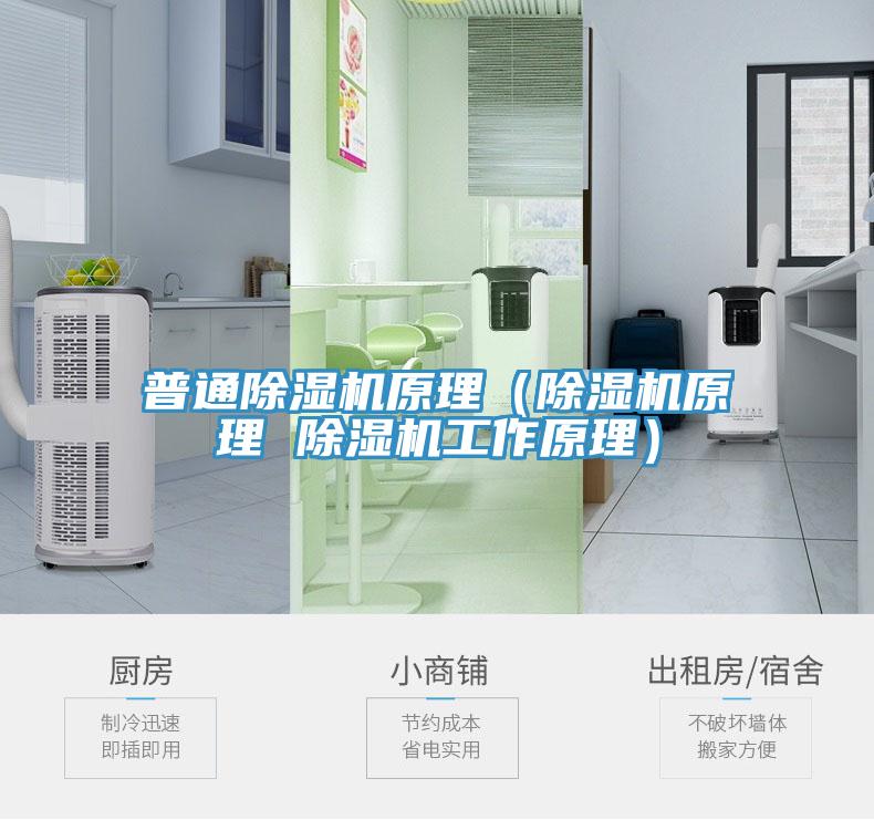 普通除濕機(jī)原理（除濕機(jī)原理 除濕機(jī)工作原理）