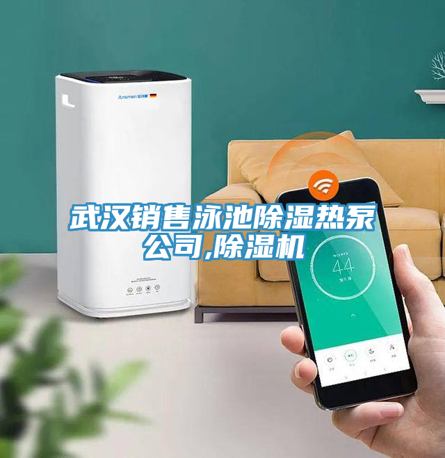 武漢銷售泳池除濕熱泵公司,除濕機