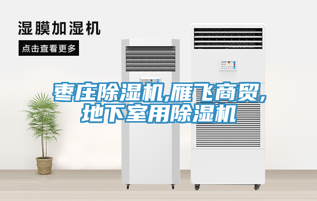 棗莊除濕機,雁飛商貿,地下室用除濕機
