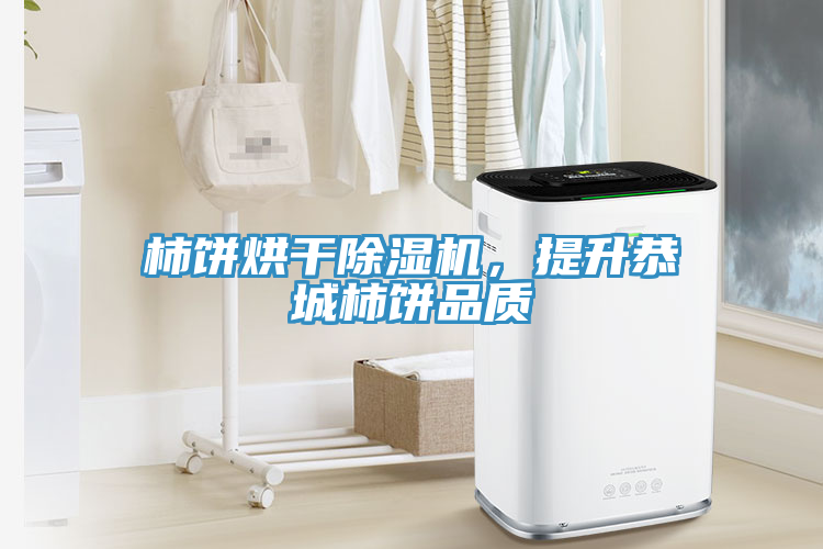 柿餅烘干除濕機，提升恭城柿餅品質