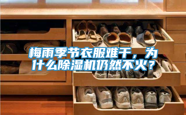 梅雨季節衣服難干，為什么除濕機仍然不火？