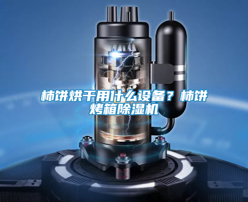 柿餅烘干用什么設備？柿餅烤箱除濕機