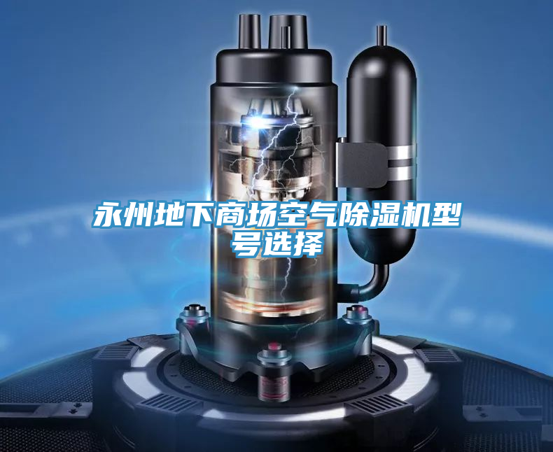 永州地下商場空氣除濕機型號選擇