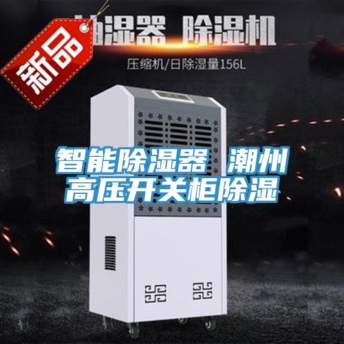 智能除濕器 潮州高壓開關柜除濕