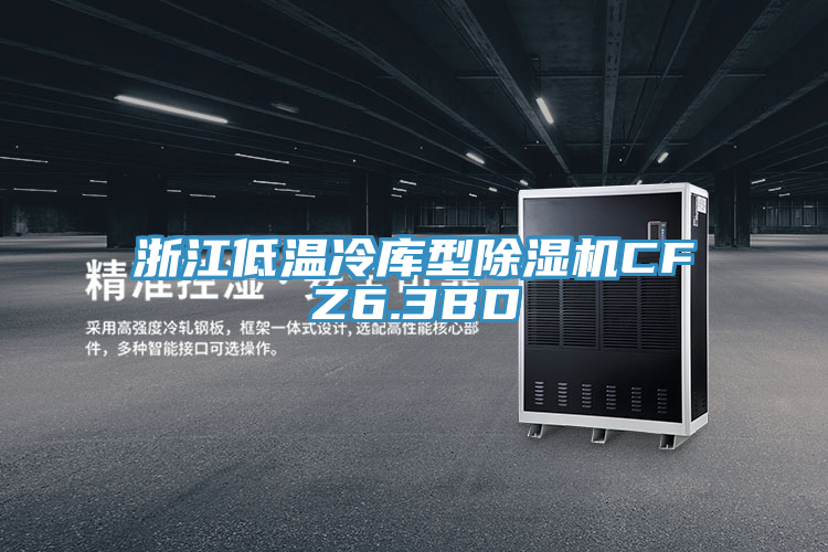浙江低溫冷庫(kù)型除濕機(jī)CFZ6.3BD