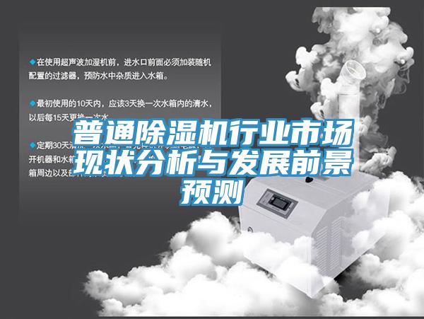 普通除濕機(jī)行業(yè)市場現(xiàn)狀分析與發(fā)展前景預(yù)測