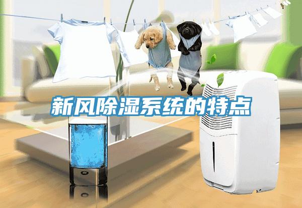 新風(fēng)除濕系統(tǒng)的特點(diǎn)
