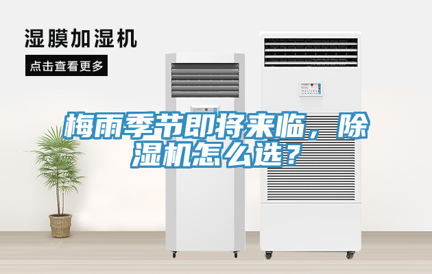 梅雨季節即將來臨，除濕機怎么選？