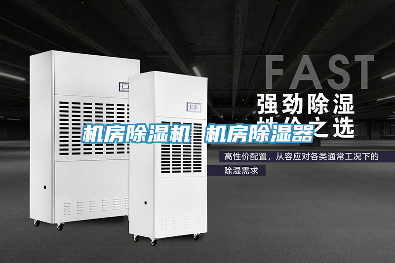 機(jī)房除濕機(jī) 機(jī)房除濕器