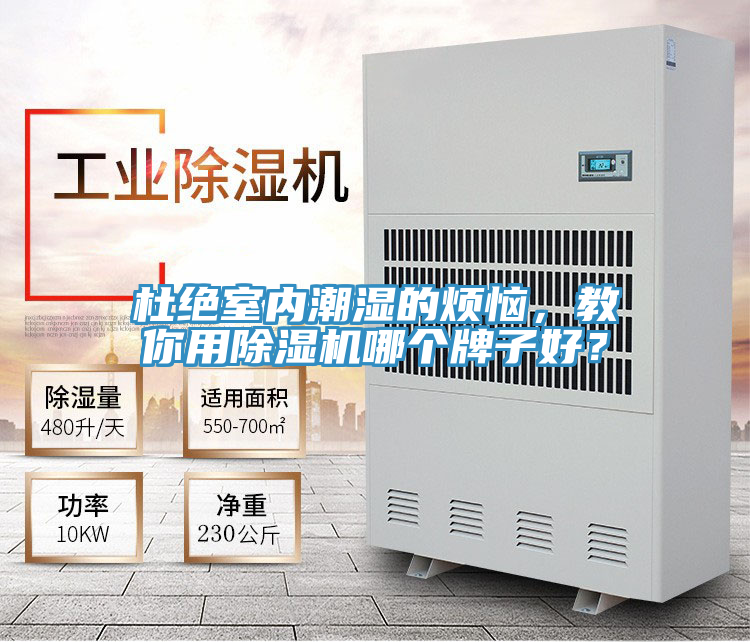 杜絕室內潮濕的煩惱，教你用除濕機哪個牌子好？