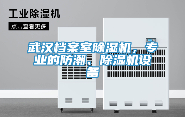 武漢檔案室除濕機，專業的防潮、除濕機設備