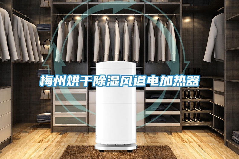 梅州烘干除濕風道電加熱器