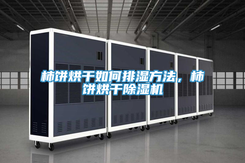 柿餅烘干如何排濕方法，柿餅烘干除濕機