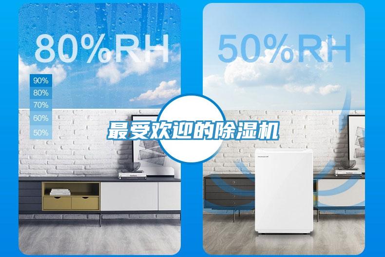 最受歡迎的除濕機