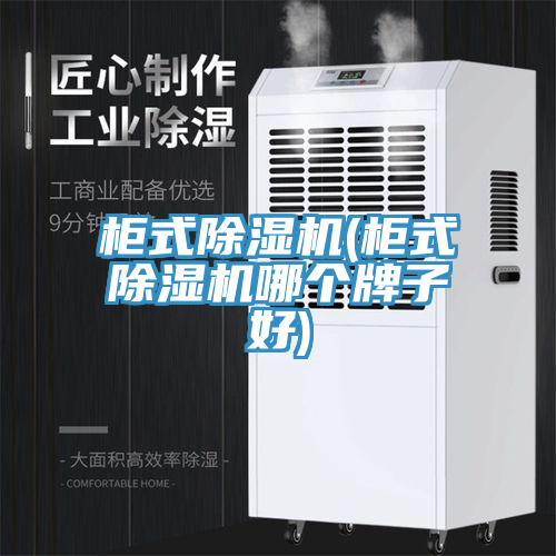 柜式除濕機(柜式除濕機哪個牌子好)