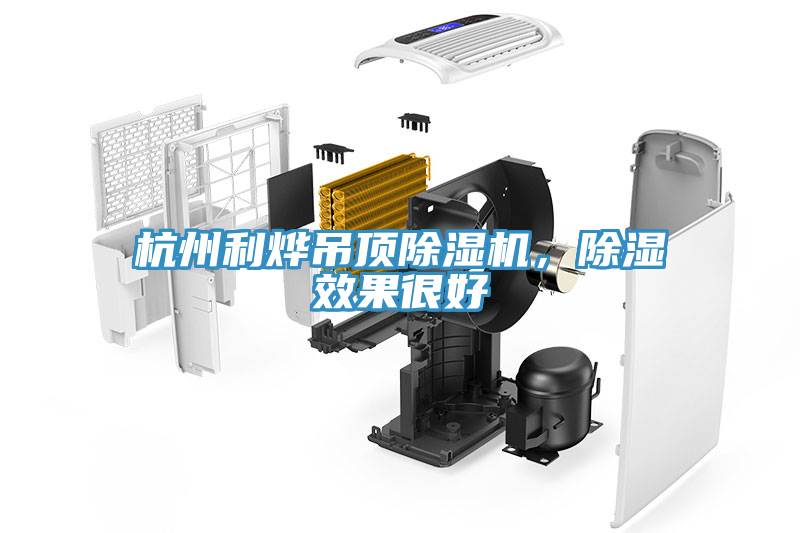 杭州利燁吊頂除濕機，除濕效果很好