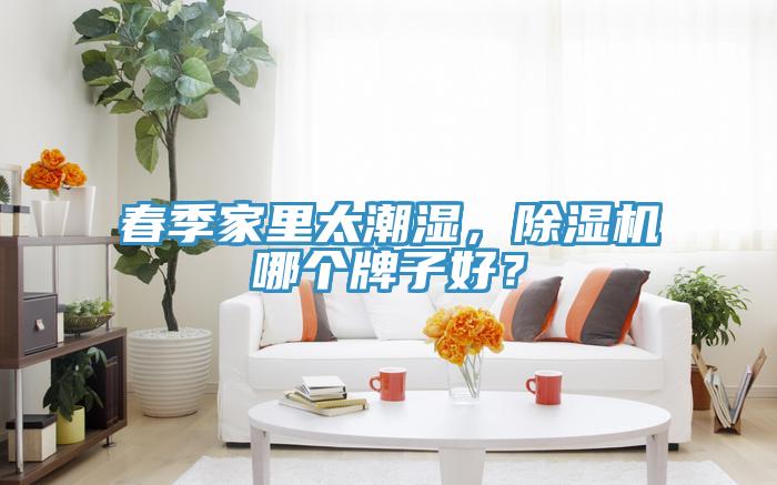 春季家里太潮濕，除濕機(jī)哪個(gè)牌子好？
