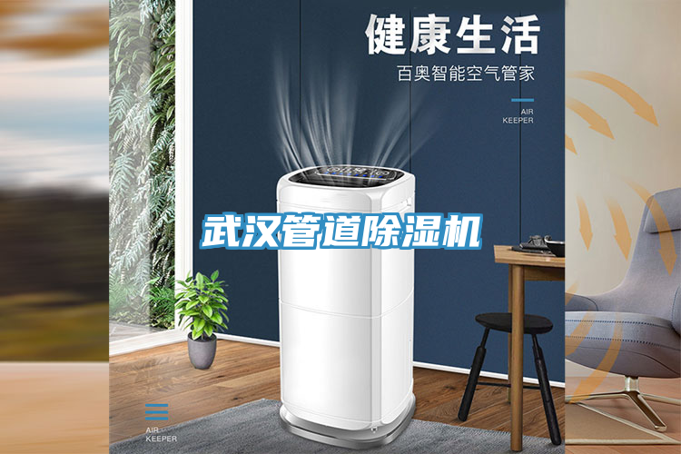 武漢管道除濕機