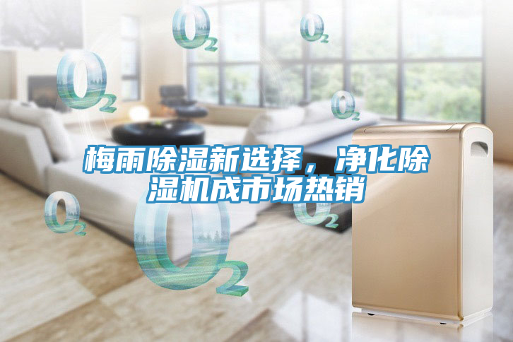 梅雨除濕新選擇，凈化除濕機成市場熱銷