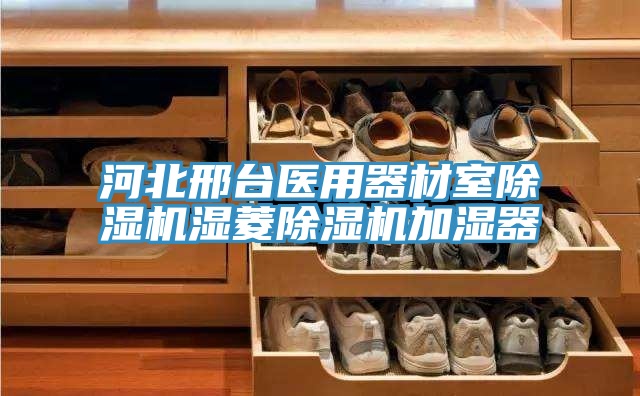 河北邢臺醫用器材室除濕機濕菱除濕機加濕器