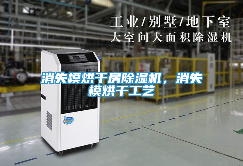 消失模烘干房除濕機，消失模烘干工藝