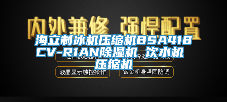 海立制冰機壓縮機BSA418CV-R1AN除濕機 飲水機 壓縮機