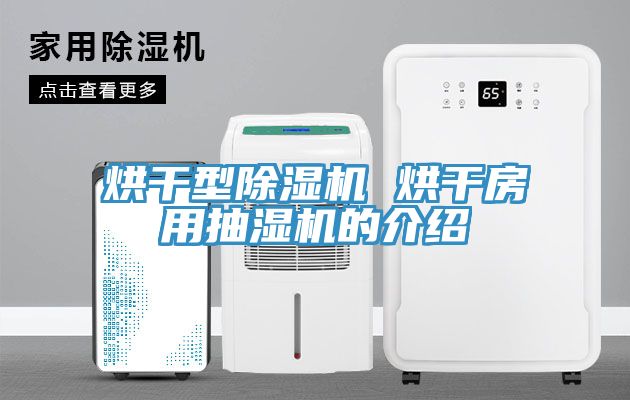 烘干型除濕機 烘干房用抽濕機的介紹