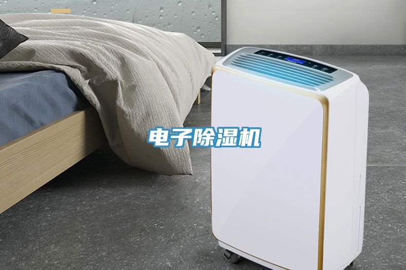 電子除濕機(jī)