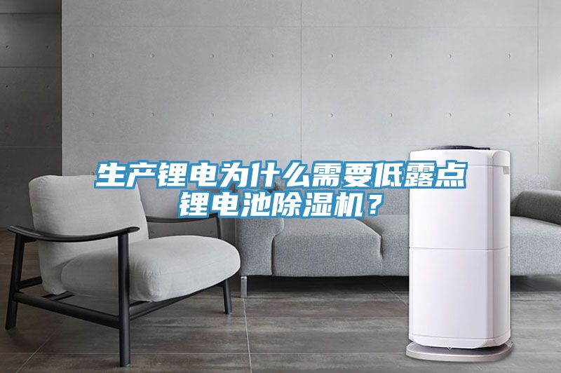 生產(chǎn)鋰電為什么需要低露點鋰電池除濕機？