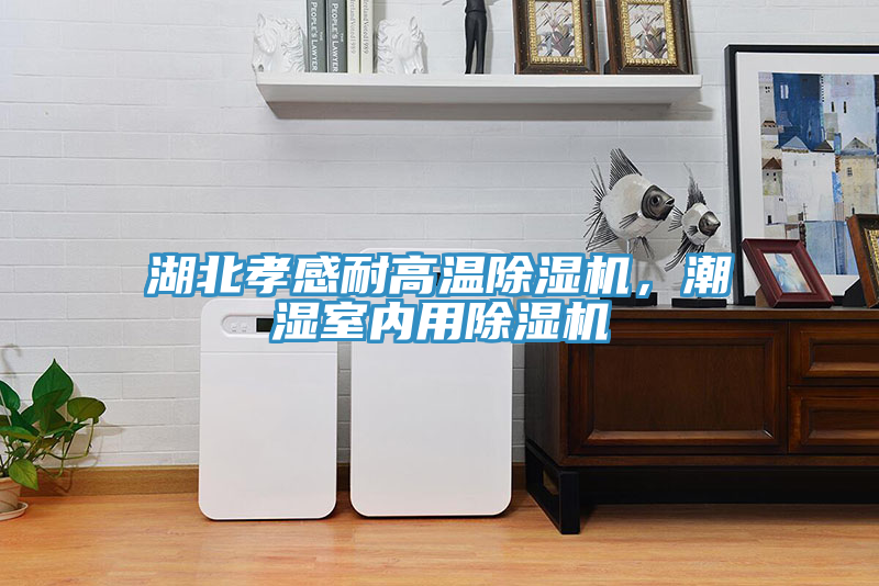 湖北孝感耐高溫除濕機，潮濕室內用除濕機
