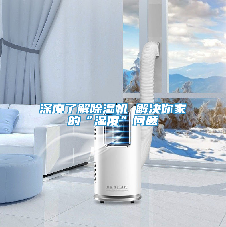 深度了解除濕機 解決你家的“濕度”問題