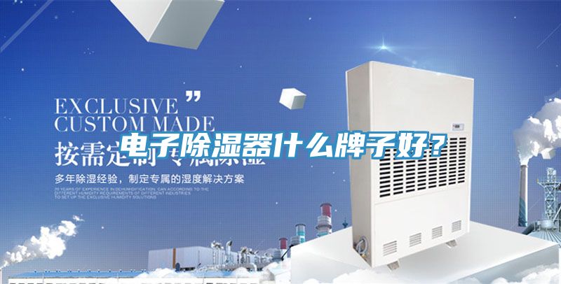 電子除濕器什么牌子好？