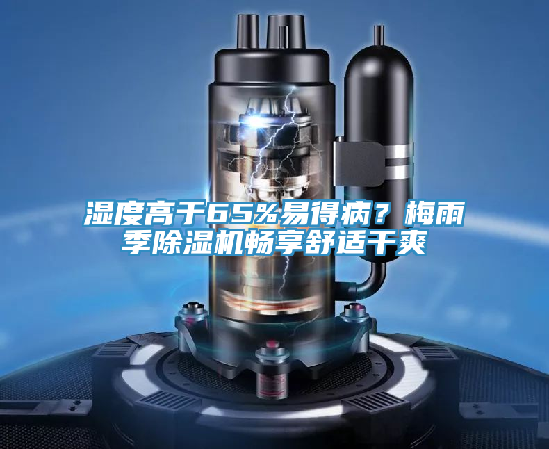 濕度高于65%易得病？梅雨季除濕機暢享舒適干爽