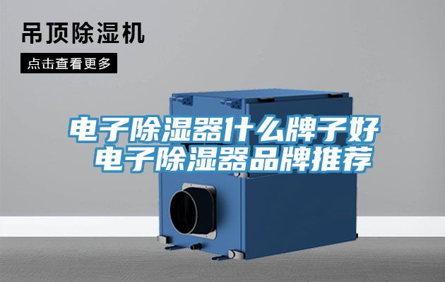 電子除濕器什么牌子好 電子除濕器品牌推薦