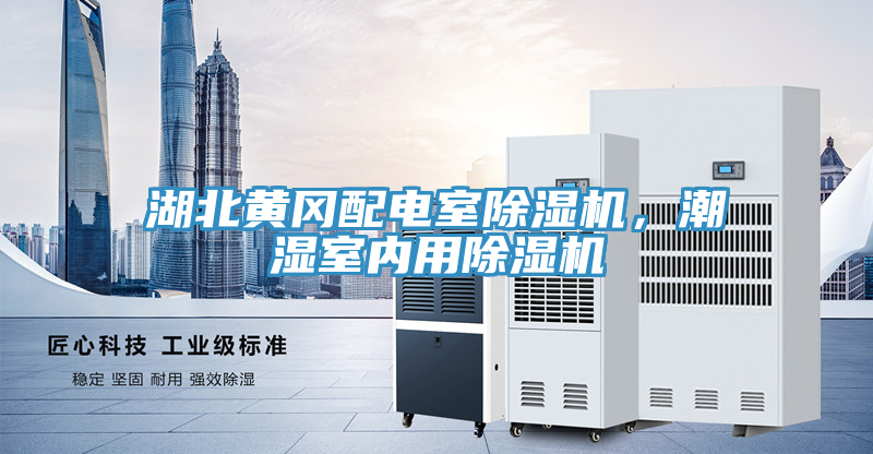 湖北黃岡配電室除濕機(jī)，潮濕室內(nèi)用除濕機(jī)