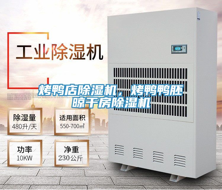 烤鴨店除濕機，烤鴨鴨胚晾干房除濕機